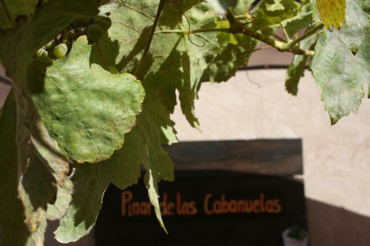 Pinar De Las Cabanuelas Villanueva de Duero Exteriör bild